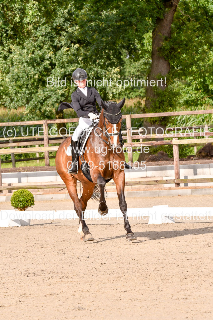 Klein Offenseth Dressur  1.8.2021 | 01082021 Dressur  KL S +_249 