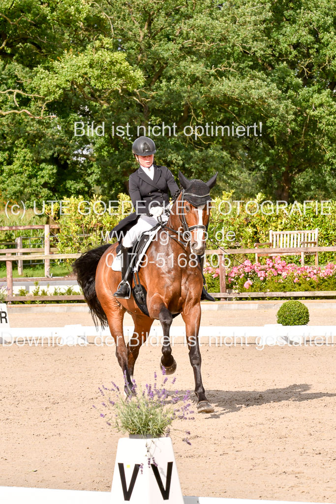 Klein Offenseth Dressur  1.8.2021 | 01082021 Dressur  KL S +_251 