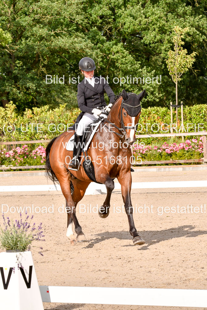 Klein Offenseth Dressur  1.8.2021 | 01082021 Dressur  KL S +_252 