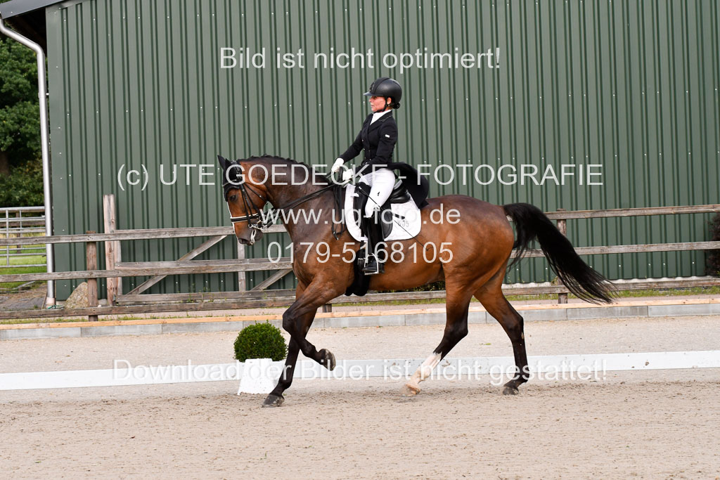 Klein Offenseth Dressur  1.8.2021 | 01082021 Dressur  KL S +_254 