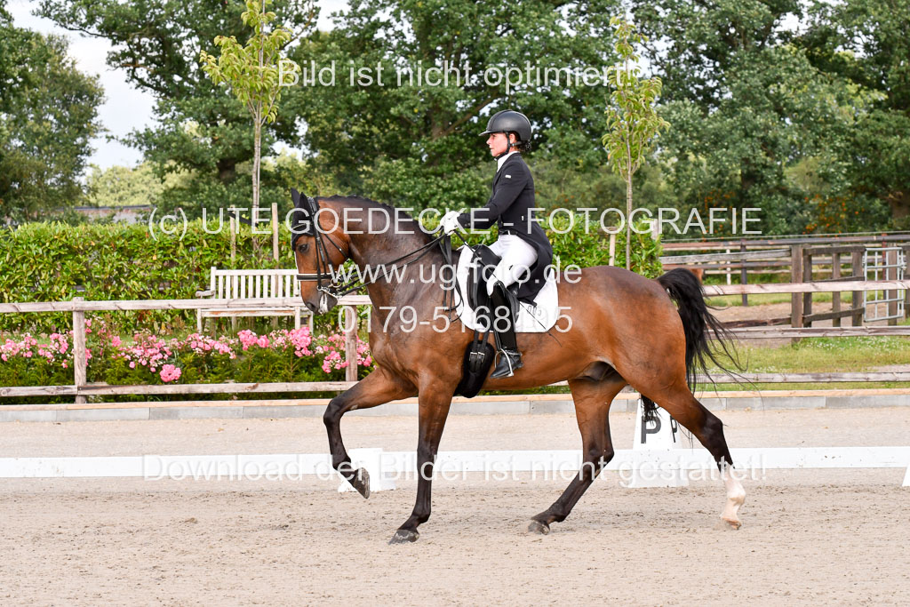 Klein Offenseth Dressur  1.8.2021 | 01082021 Dressur  KL S +_255 