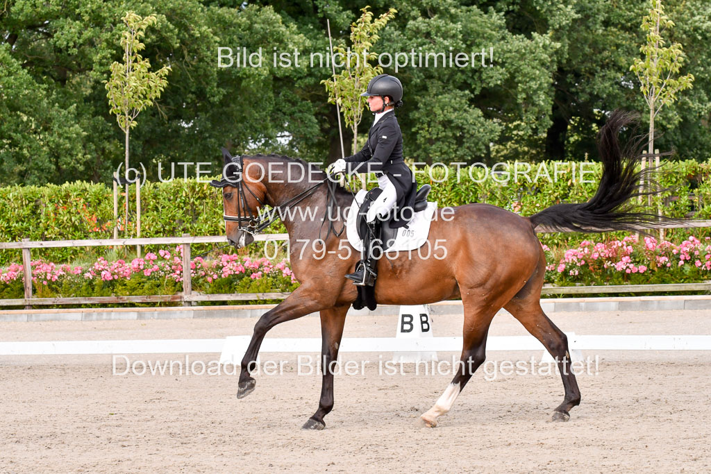 Klein Offenseth Dressur  1.8.2021 | 01082021 Dressur  KL S +_256 
