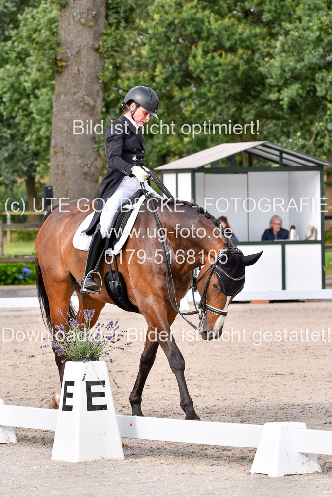 Klein Offenseth Dressur  1.8.2021 | 01082021 Dressur  KL S +_259 