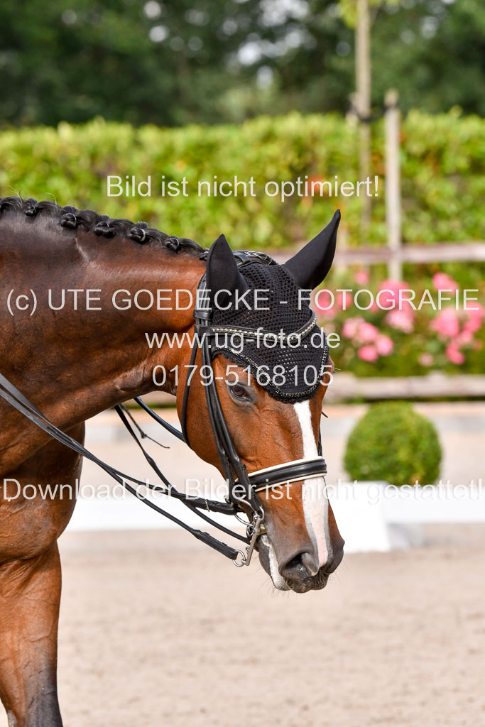 Klein Offenseth Dressur  1.8.2021 | 01082021 Dressur  KL S +_261 