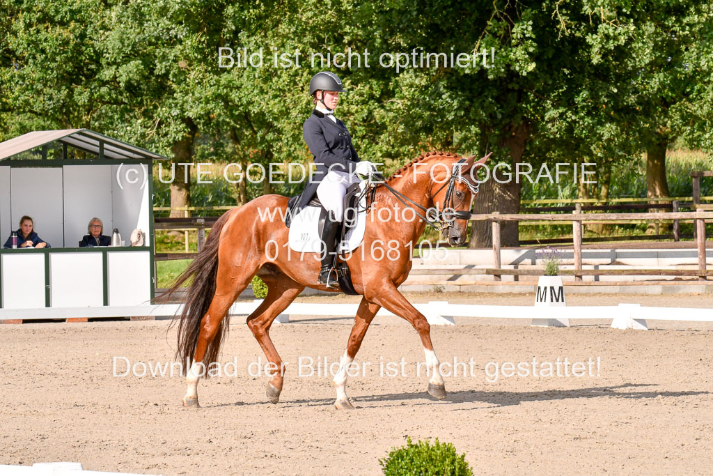 Klein Offenseth Dressur  1.8.2021 | 01082021 Dressur  KL S +_262 