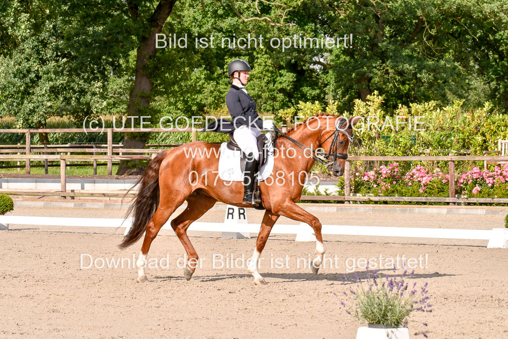 Klein Offenseth Dressur  1.8.2021 | 01082021 Dressur  KL S +_264 