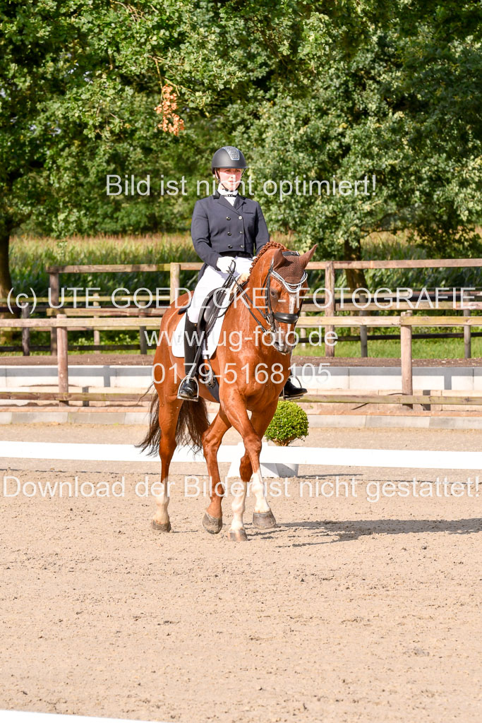 Klein Offenseth Dressur  1.8.2021 | 01082021 Dressur  KL S +_267 