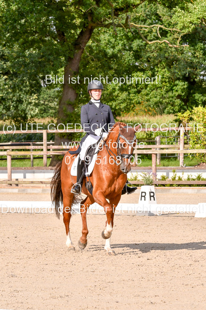 Klein Offenseth Dressur  1.8.2021 | 01082021 Dressur  KL S +_269 