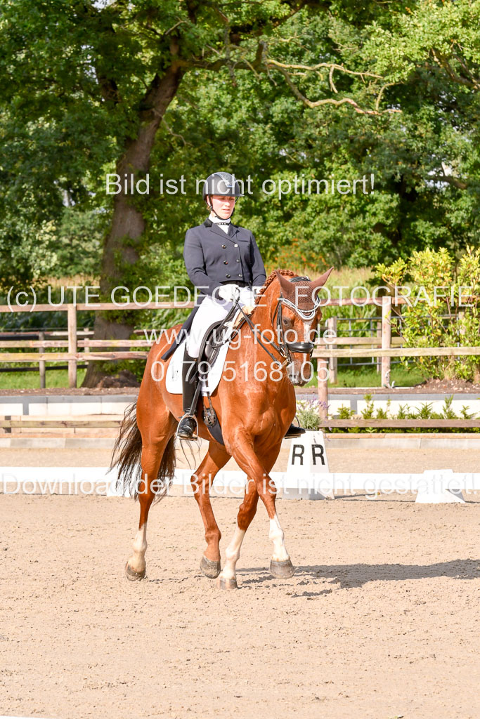 Klein Offenseth Dressur  1.8.2021 | 01082021 Dressur  KL S +_270 