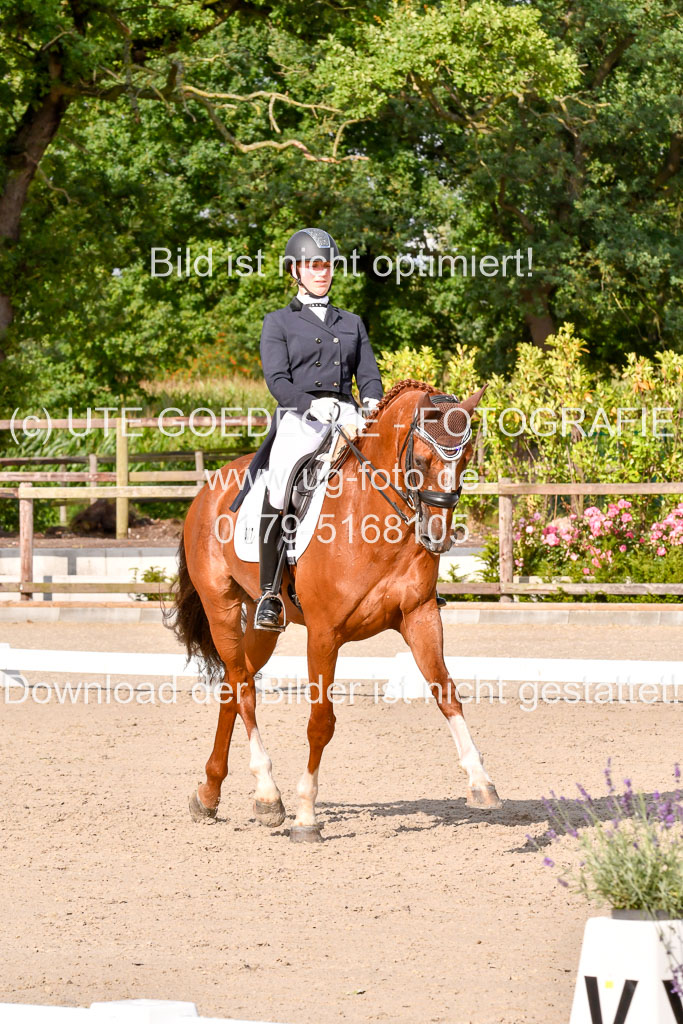 Klein Offenseth Dressur  1.8.2021 | 01082021 Dressur  KL S +_271 