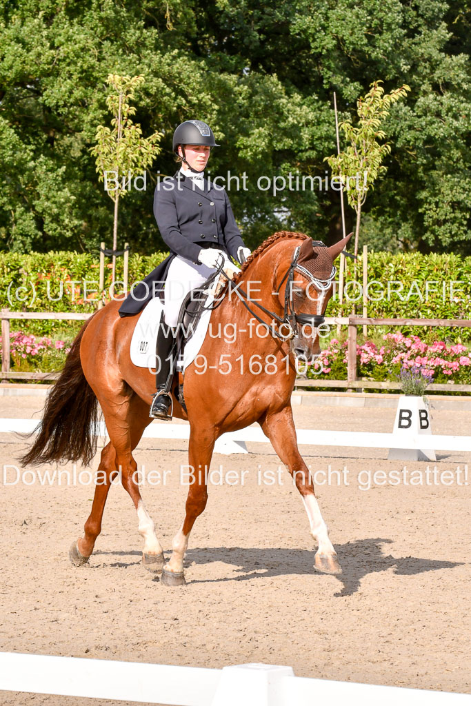 Klein Offenseth Dressur  1.8.2021 | 01082021 Dressur  KL S +_272 
