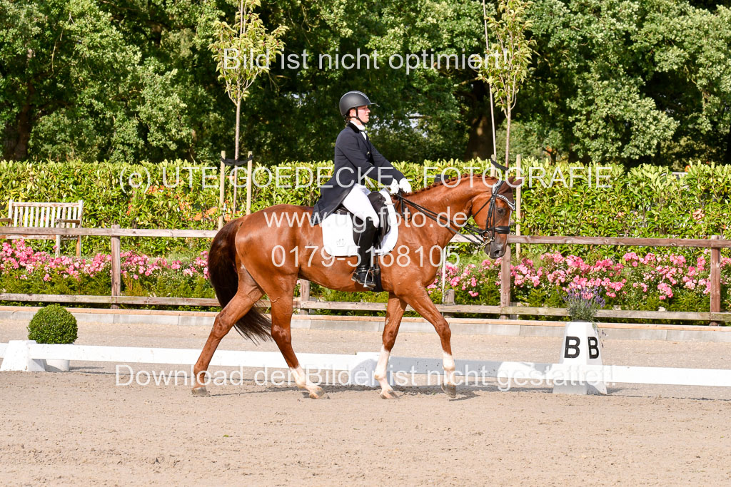 Klein Offenseth Dressur  1.8.2021 | 01082021 Dressur  KL S +_273 