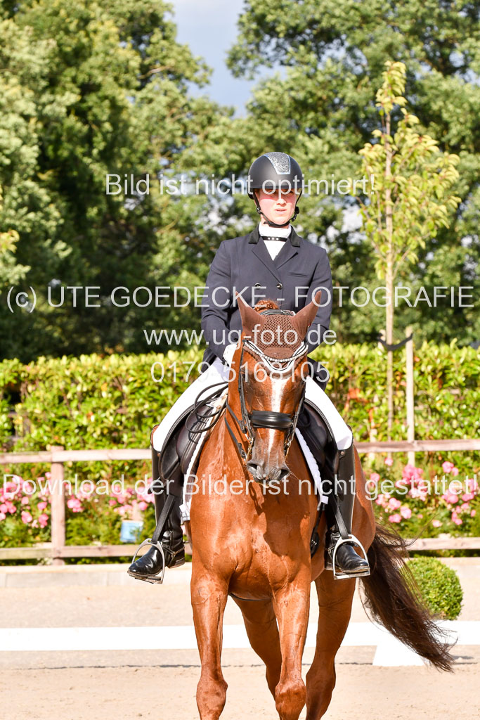 Klein Offenseth Dressur  1.8.2021 | 01082021 Dressur  KL S +_274 