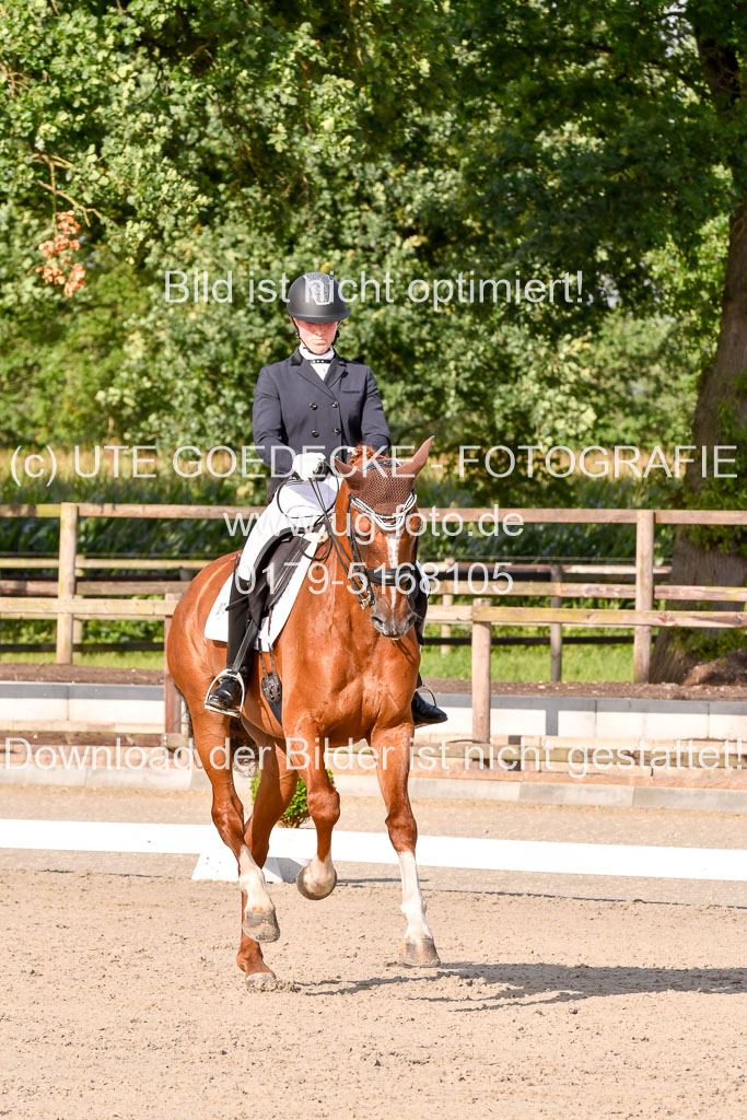 Klein Offenseth Dressur  1.8.2021 | 01082021 Dressur  KL S +_276 