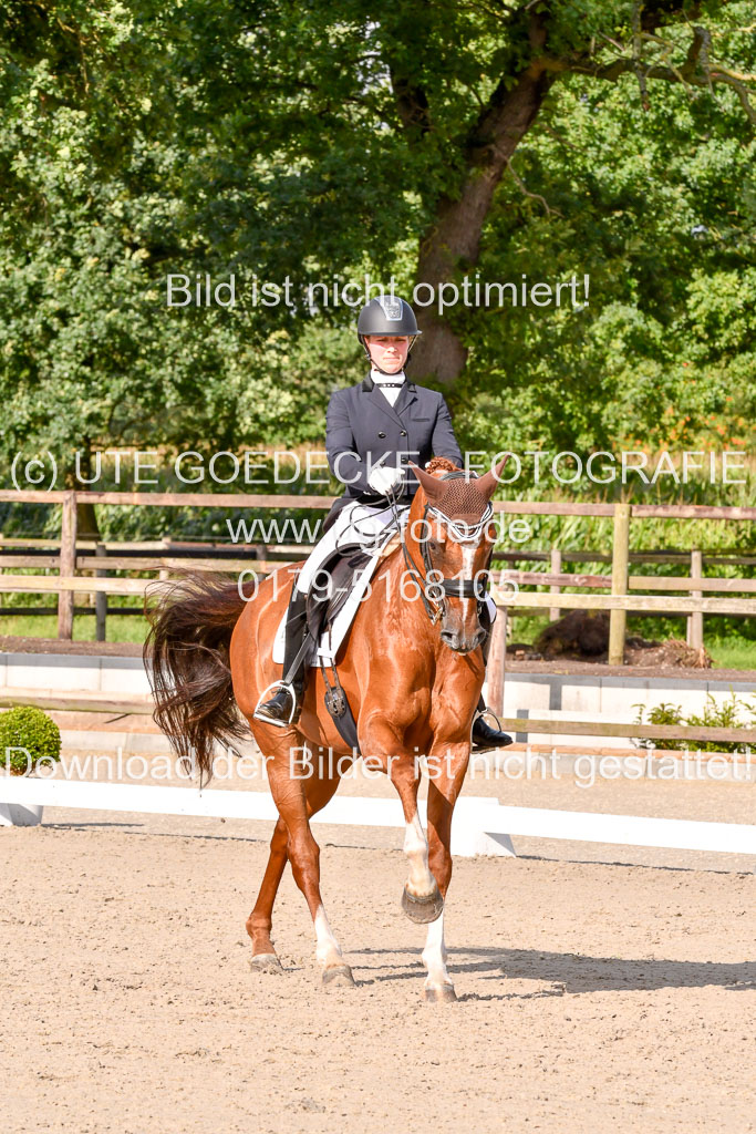 Klein Offenseth Dressur  1.8.2021 | 01082021 Dressur  KL S +_277 