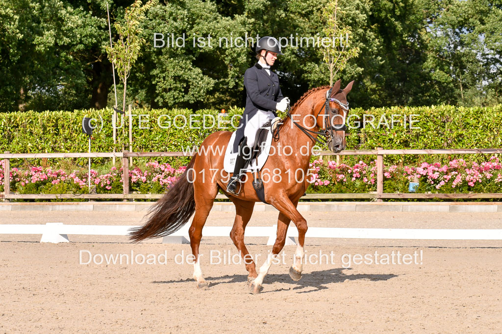 Klein Offenseth Dressur  1.8.2021 | 01082021 Dressur  KL S +_281 