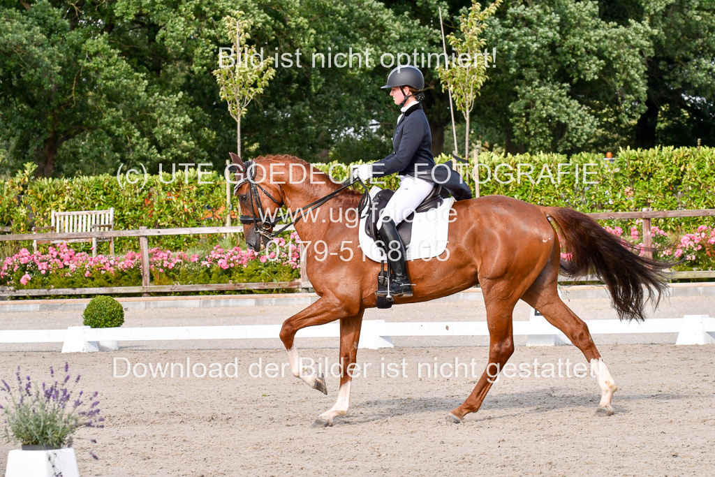 Klein Offenseth Dressur  1.8.2021 | 01082021 Dressur  KL S +_283 