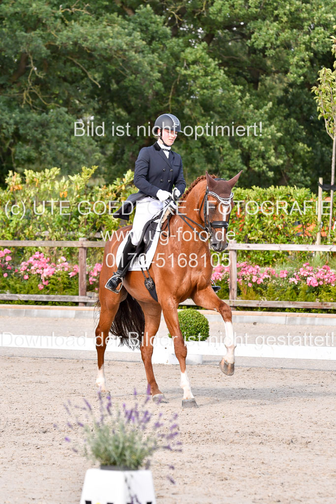 Klein Offenseth Dressur  1.8.2021 | 01082021 Dressur  KL S +_284 