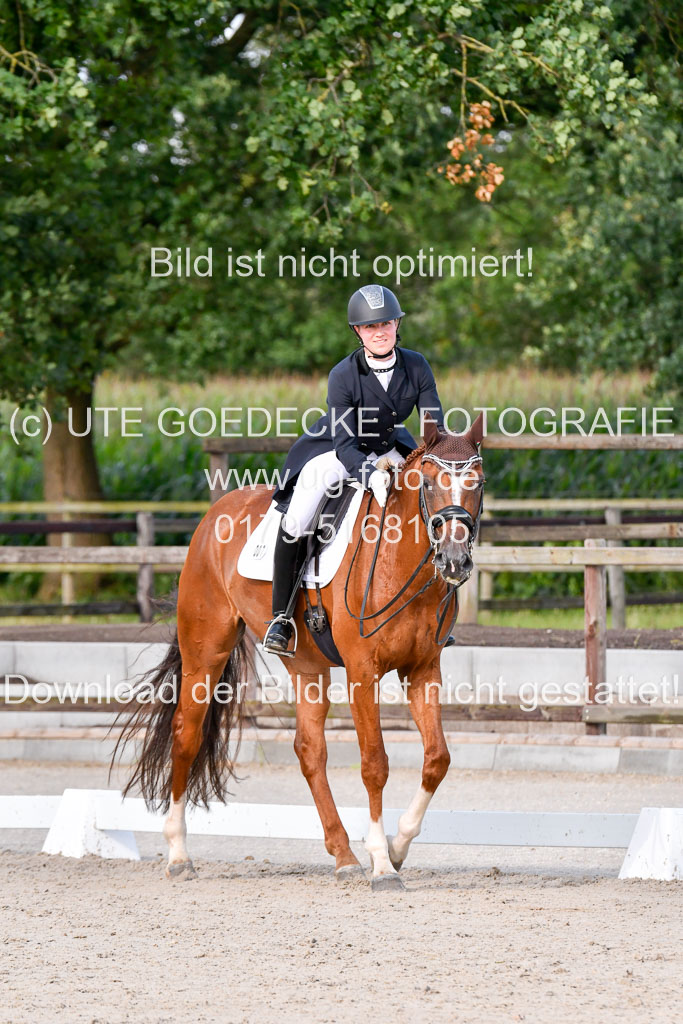 Klein Offenseth Dressur  1.8.2021 | 01082021 Dressur  KL S +_286 