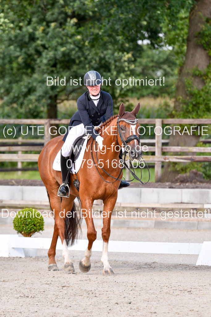 Klein Offenseth Dressur  1.8.2021 | 01082021 Dressur  KL S +_287 