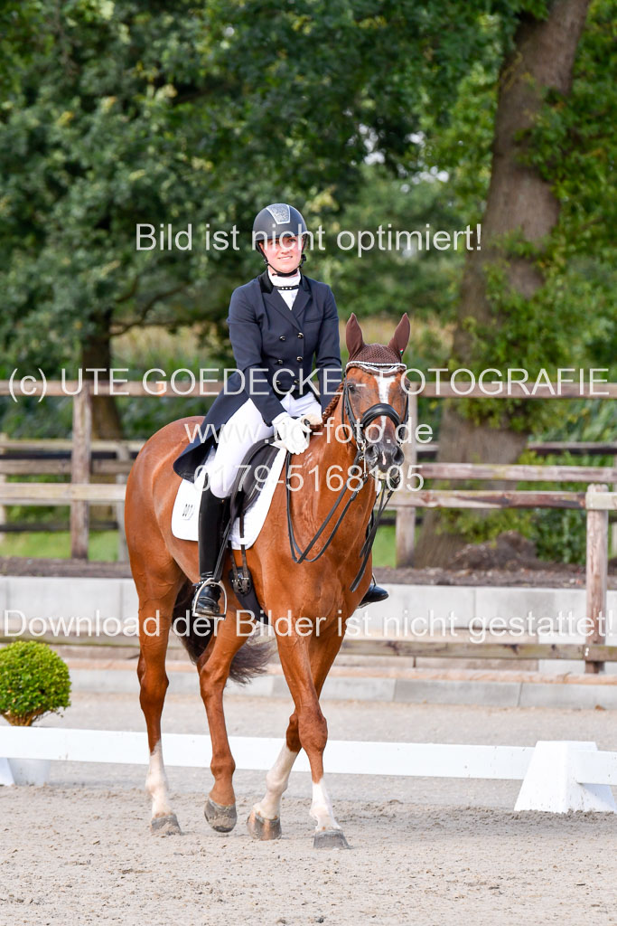 Klein Offenseth Dressur  1.8.2021 | 01082021 Dressur  KL S +_288 