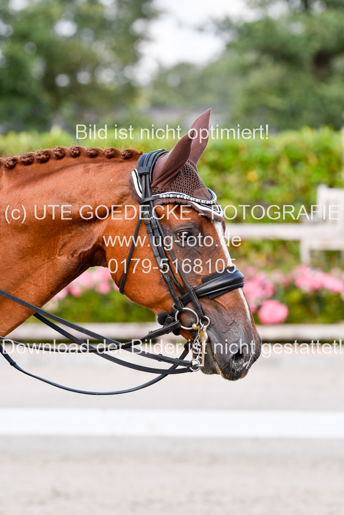 Klein Offenseth Dressur  1.8.2021 | 01082021 Dressur  KL S +_291 