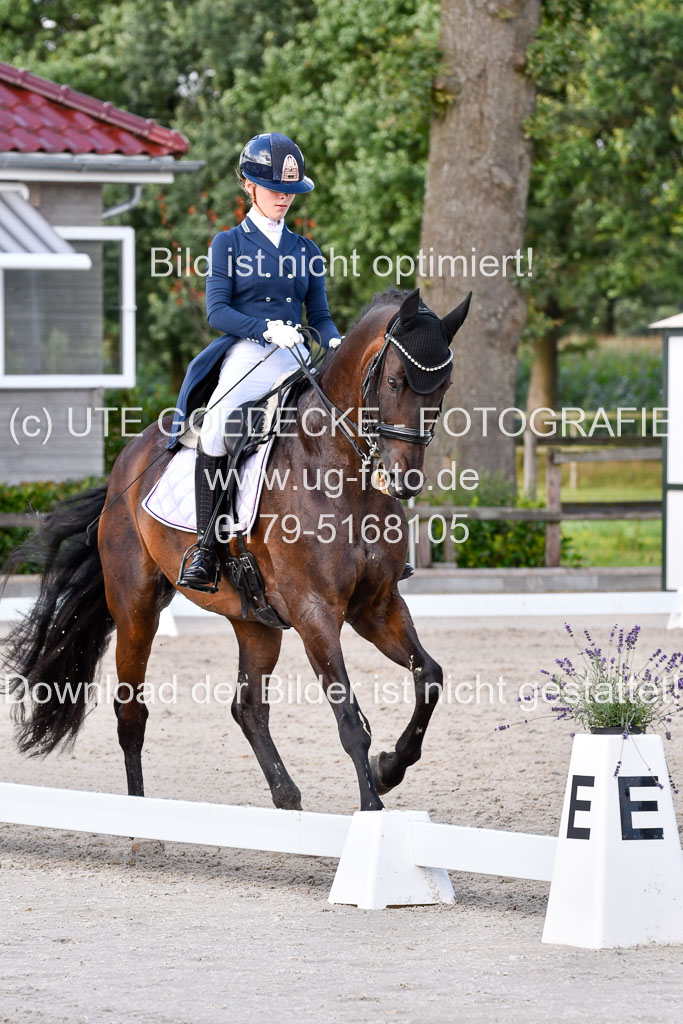 Klein Offenseth Dressur  1.8.2021 | 01082021 Dressur  KL S +_292 