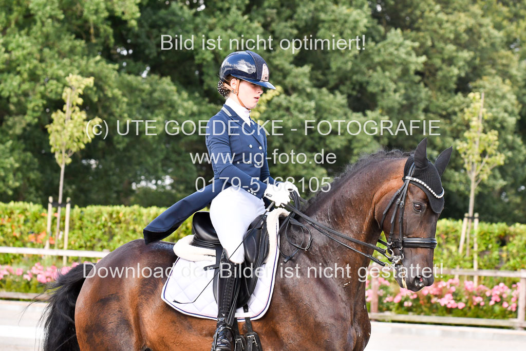 Klein Offenseth Dressur  1.8.2021 | 01082021 Dressur  KL S +_293 