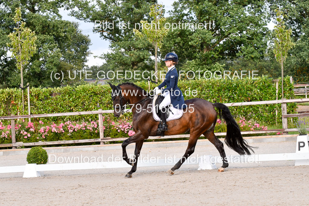 Klein Offenseth Dressur  1.8.2021 | 01082021 Dressur  KL S +_294 