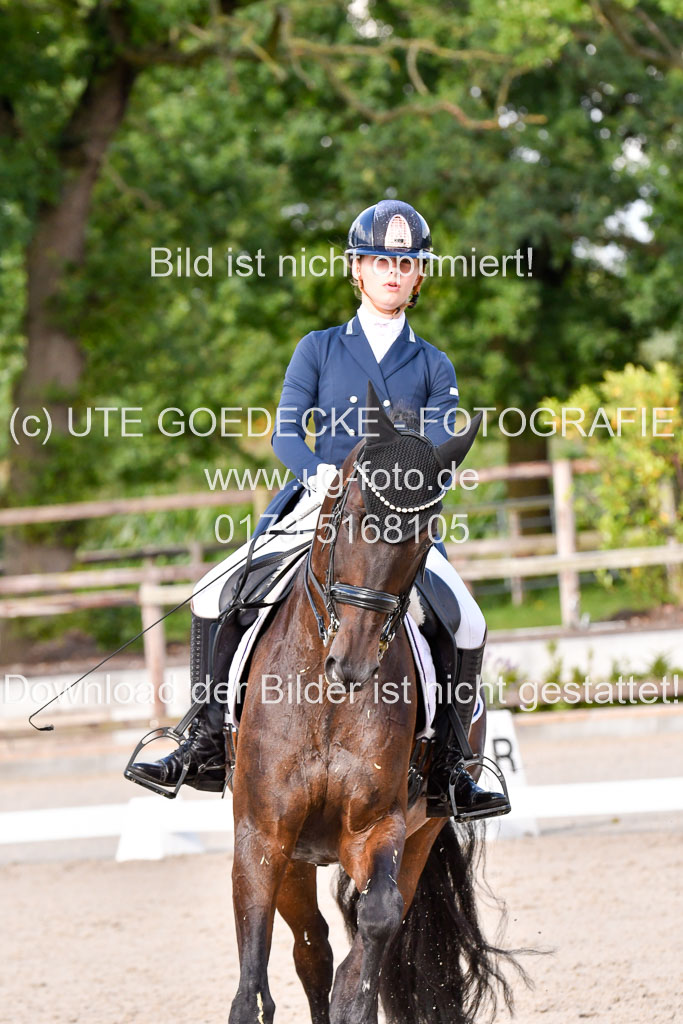 Klein Offenseth Dressur  1.8.2021 | 01082021 Dressur  KL S +_296 