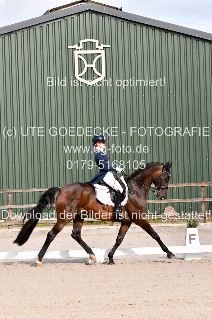 Klein Offenseth Dressur  1.8.2021 | 01082021 Dressur  KL S +_299 