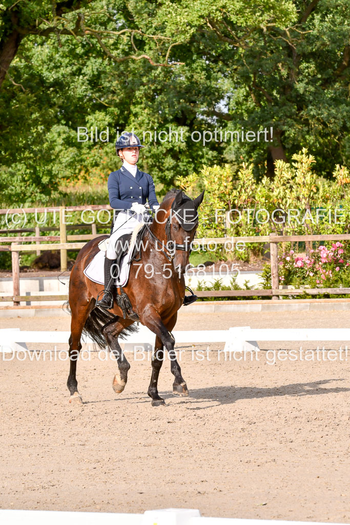 Klein Offenseth Dressur  1.8.2021 | 01082021 Dressur  KL S +_302 