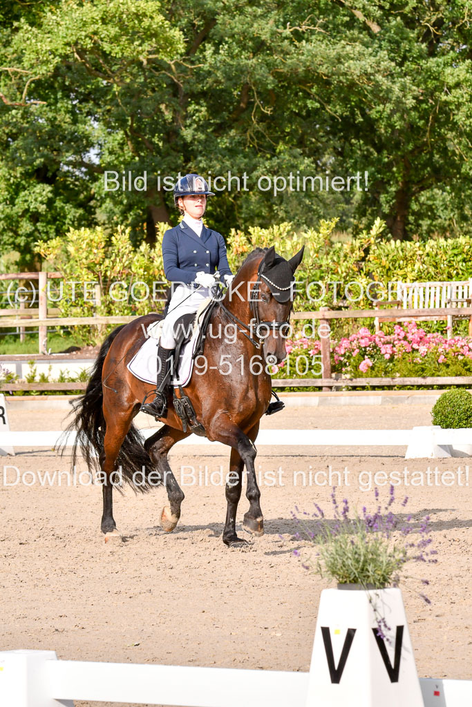 Klein Offenseth Dressur  1.8.2021 | 01082021 Dressur  KL S +_303 