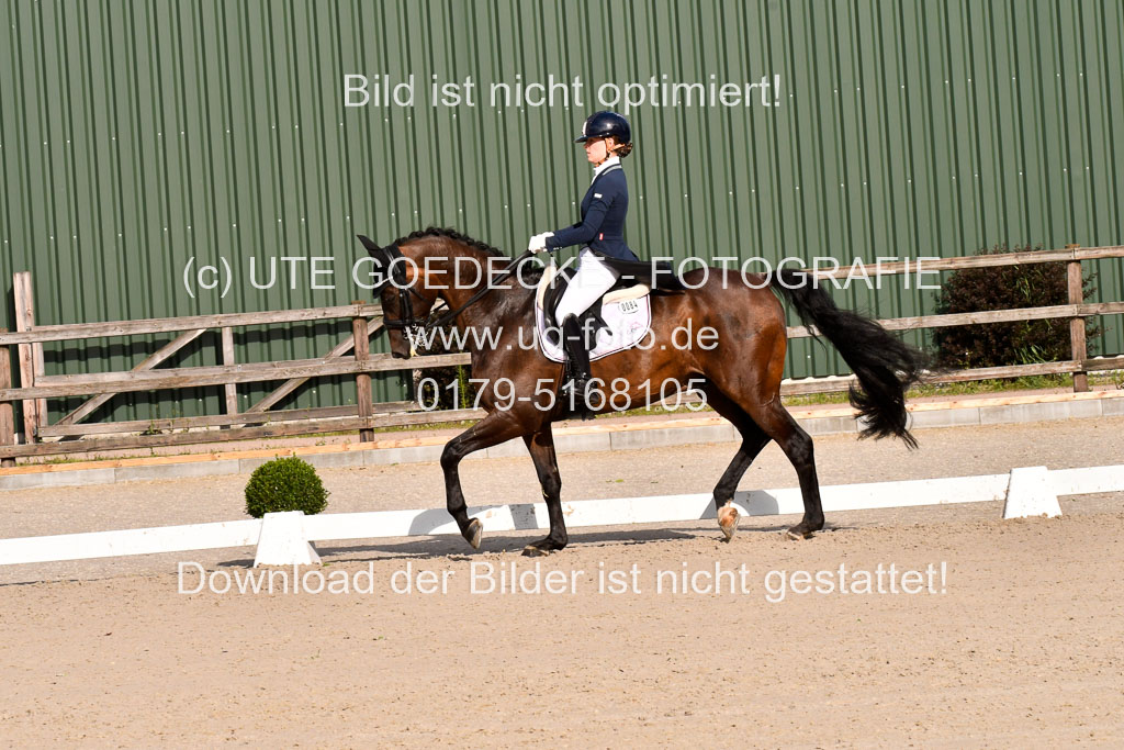 Klein Offenseth Dressur  1.8.2021 | 01082021 Dressur  KL S +_305 