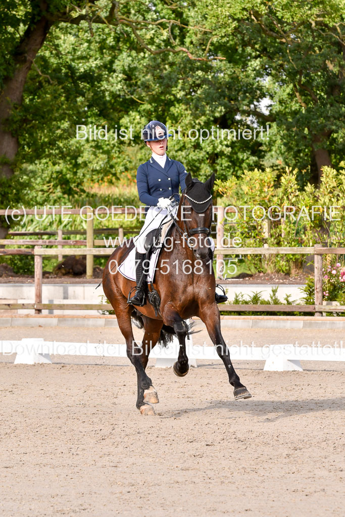 Klein Offenseth Dressur  1.8.2021 | 01082021 Dressur  KL S +_309 