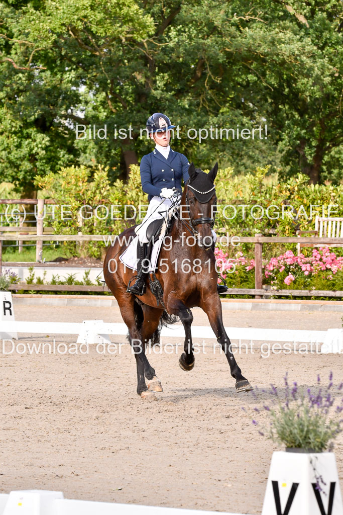 Klein Offenseth Dressur  1.8.2021 | 01082021 Dressur  KL S +_310 