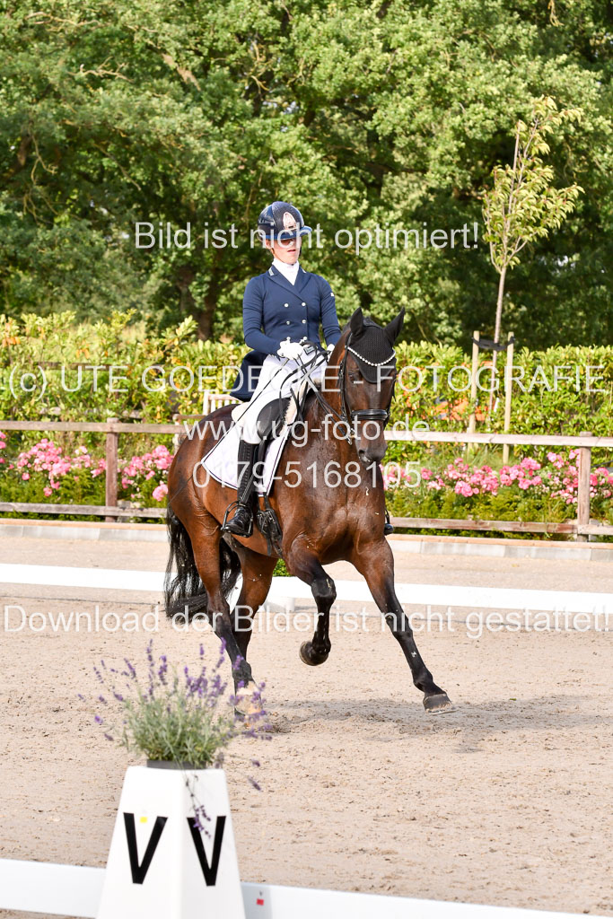 Klein Offenseth Dressur  1.8.2021 | 01082021 Dressur  KL S +_311 