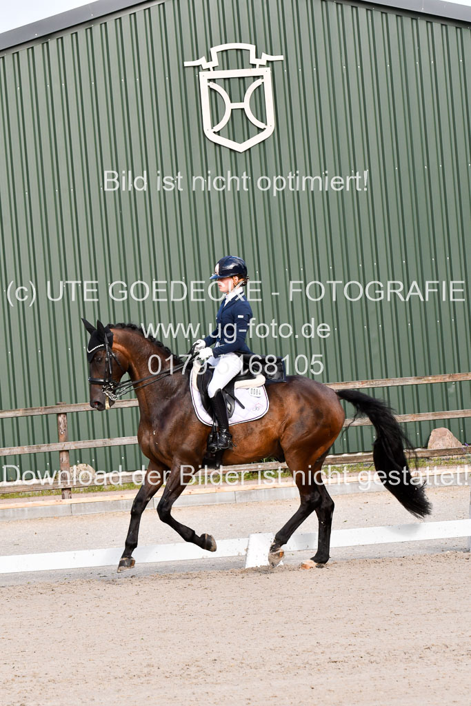 Klein Offenseth Dressur  1.8.2021 | 01082021 Dressur  KL S +_312 