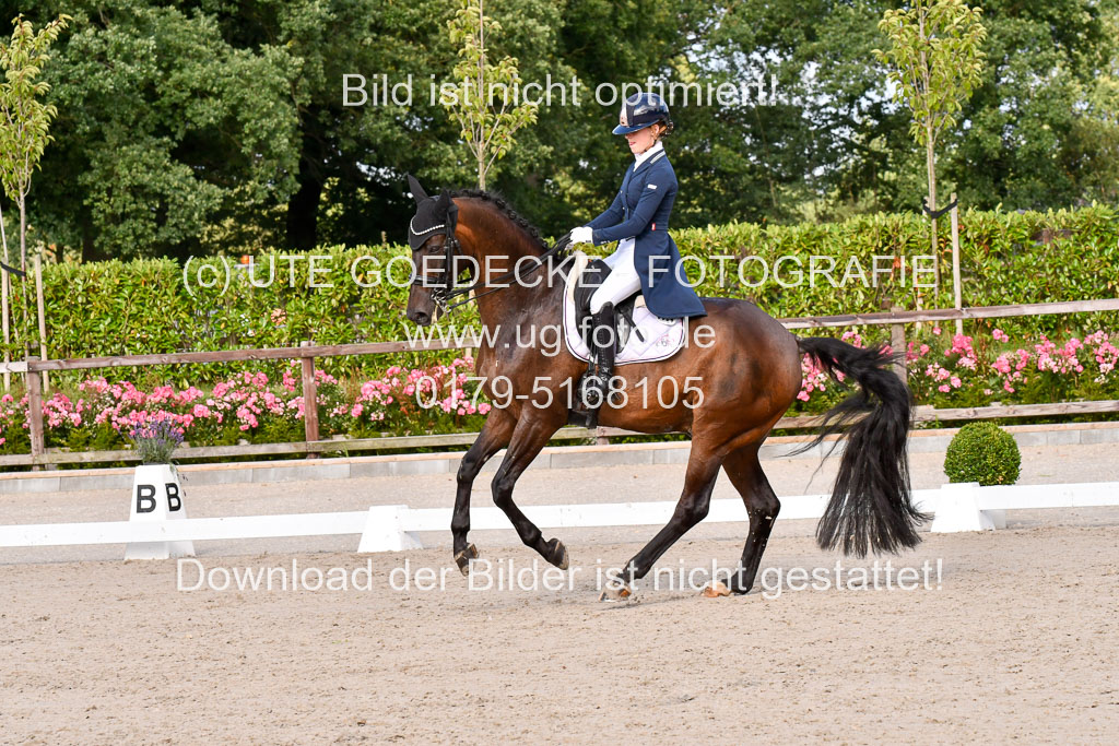 Klein Offenseth Dressur  1.8.2021 | 01082021 Dressur  KL S +_314 
