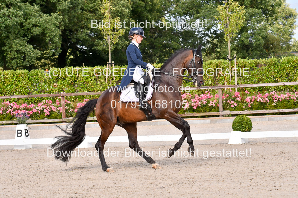 Klein Offenseth Dressur  1.8.2021 | 01082021 Dressur  KL S +_316 