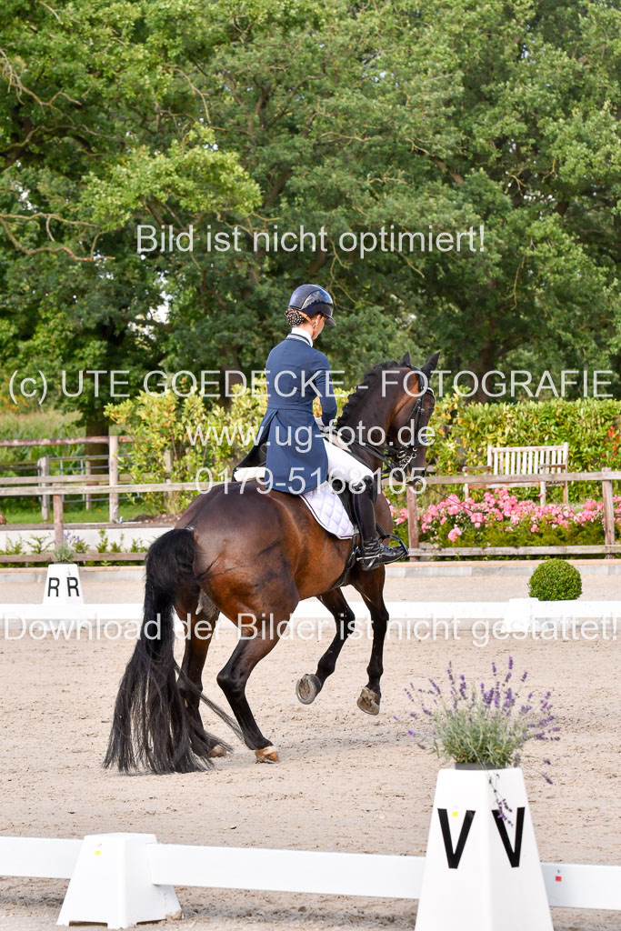 Klein Offenseth Dressur  1.8.2021 | 01082021 Dressur  KL S +_317 