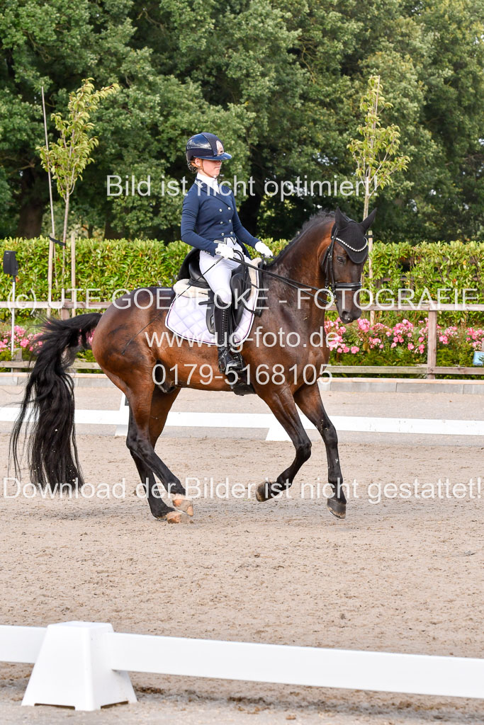 Klein Offenseth Dressur  1.8.2021 | 01082021 Dressur  KL S +_318 