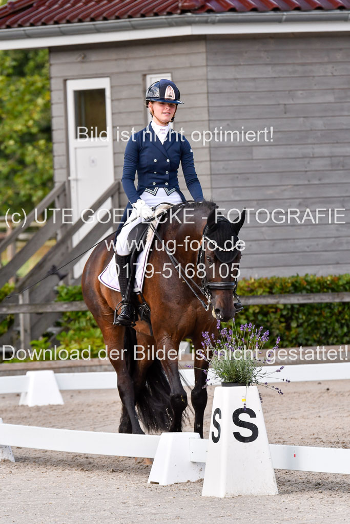 Klein Offenseth Dressur  1.8.2021 | 01082021 Dressur  KL S +_321 