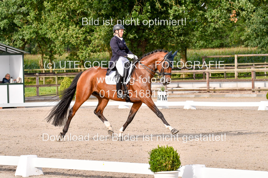 Klein Offenseth Dressur  1.8.2021 | 01082021 Dressur  KL S +_327 