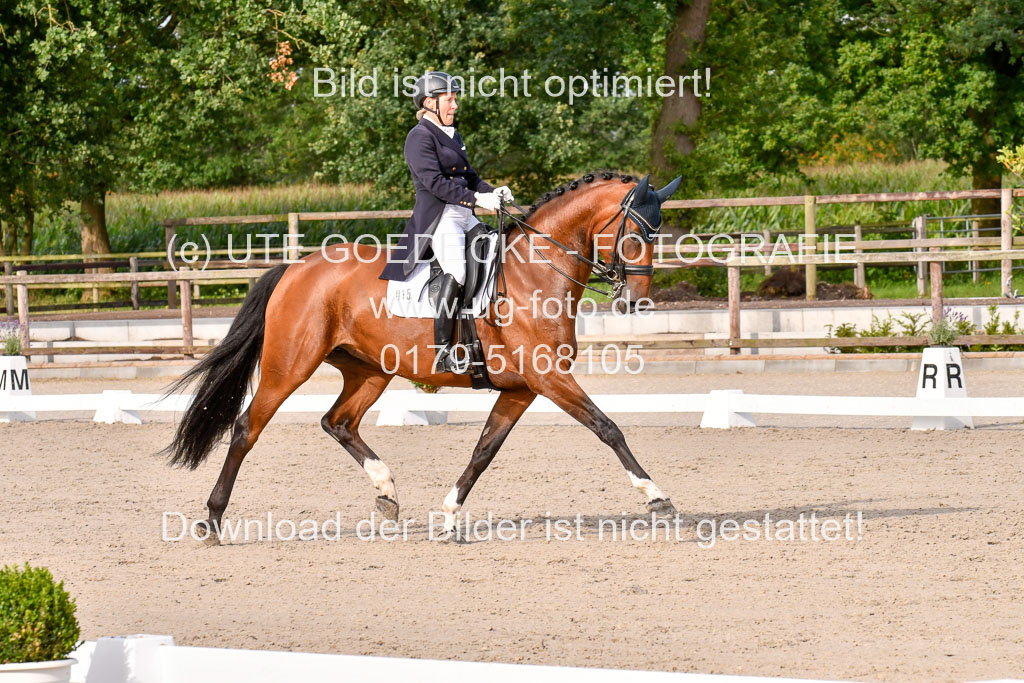 Klein Offenseth Dressur  1.8.2021 | 01082021 Dressur  KL S +_329 