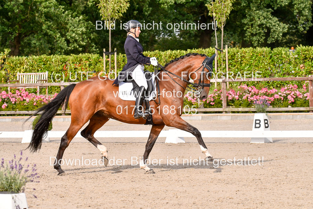 Klein Offenseth Dressur  1.8.2021 | 01082021 Dressur  KL S +_332 
