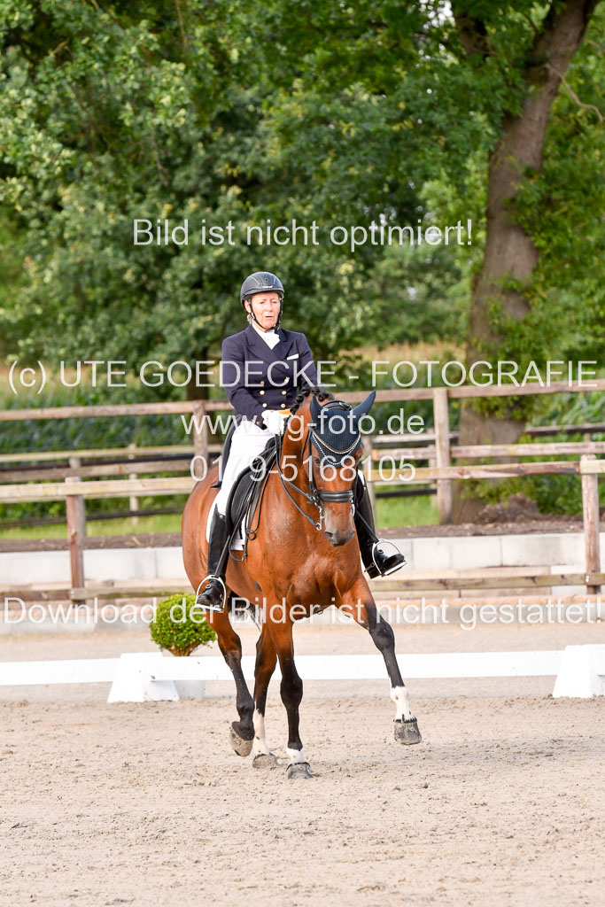 Klein Offenseth Dressur  1.8.2021 | 01082021 Dressur  KL S +_333 