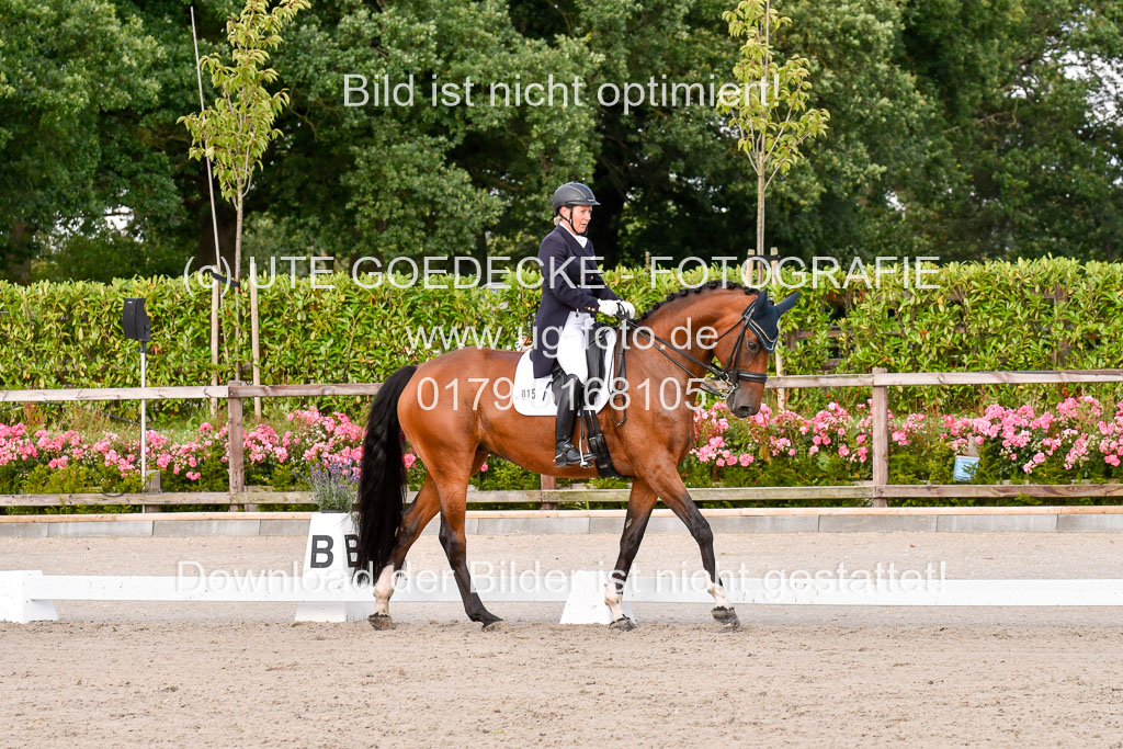Klein Offenseth Dressur  1.8.2021 | 01082021 Dressur  KL S +_336 