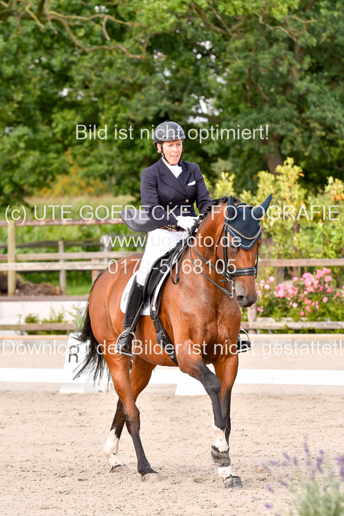 Klein Offenseth Dressur  1.8.2021 | 01082021 Dressur  KL S +_337 