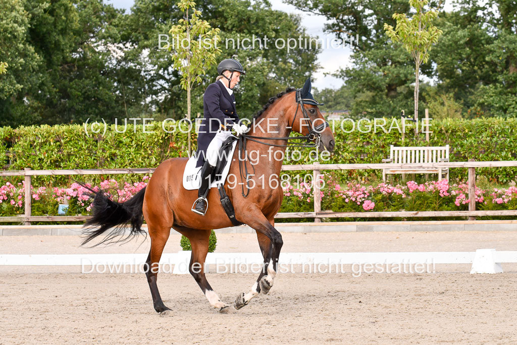 Klein Offenseth Dressur  1.8.2021 | 01082021 Dressur  KL S +_343 